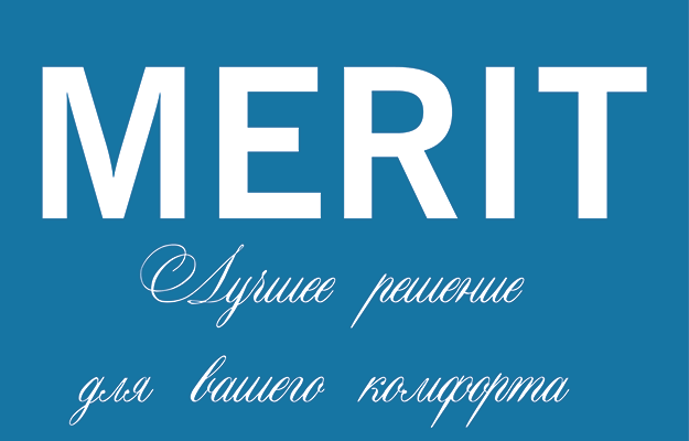 Merit - 